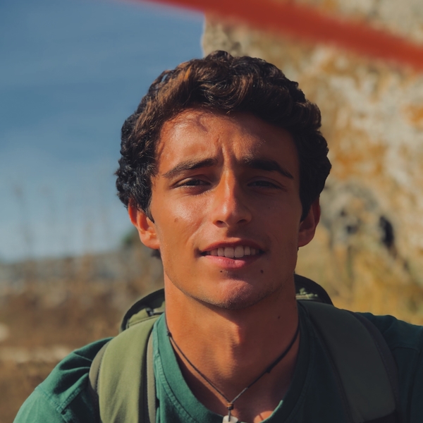 Luis null